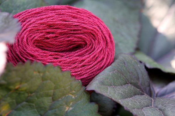 Shetland DK_1